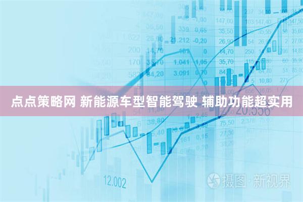 点点策略网 新能源车型智能驾驶 辅助功能超实用