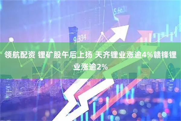 领航配资 锂矿股午后上扬 天齐锂业涨逾4%赣锋锂业涨逾2%