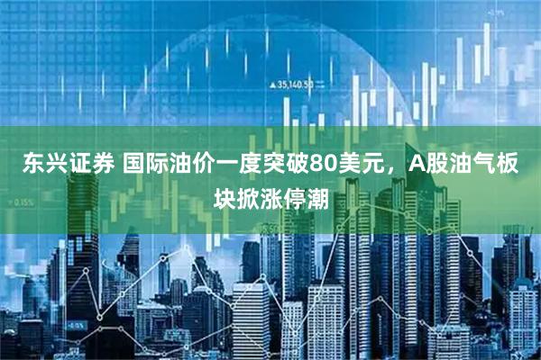 东兴证券 国际油价一度突破80美元，A股油气板块掀涨停潮