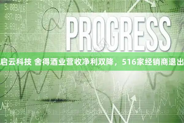 启云科技 舍得酒业营收净利双降，516家经销商退出