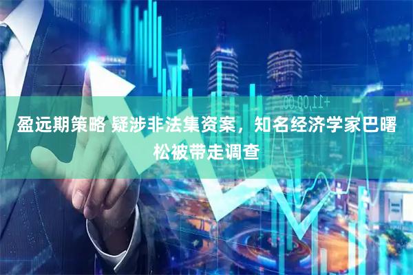 盈远期策略 疑涉非法集资案，知名经济学家巴曙松被带走调查