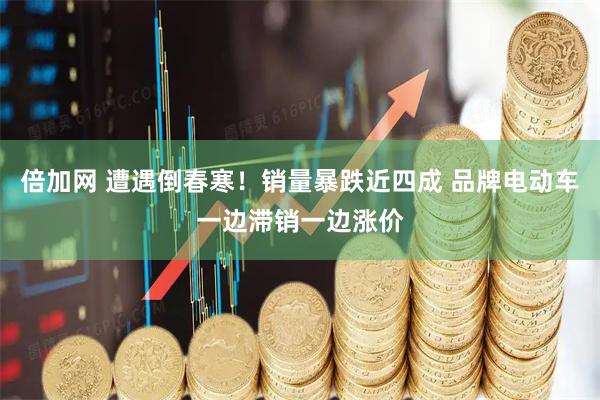 倍加网 遭遇倒春寒！销量暴跌近四成 品牌电动车一边滞销一边涨价