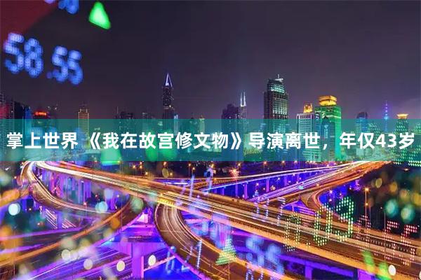 掌上世界 《我在故宫修文物》导演离世，年仅43岁