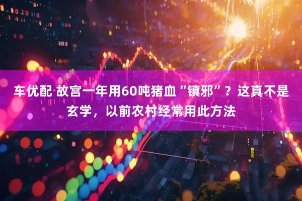 车优配 故宫一年用60吨猪血“镇邪”？这真不是玄学，以前农村经常用此方法