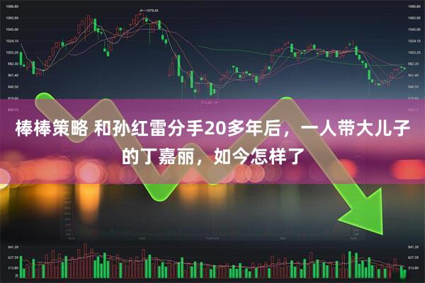棒棒策略 和孙红雷分手20多年后，一人带大儿子的丁嘉丽，如今怎样了