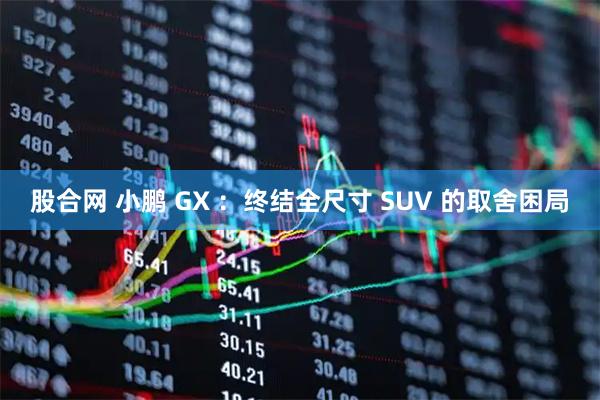 股合网 小鹏 GX ：终结全尺寸 SUV 的取舍困局