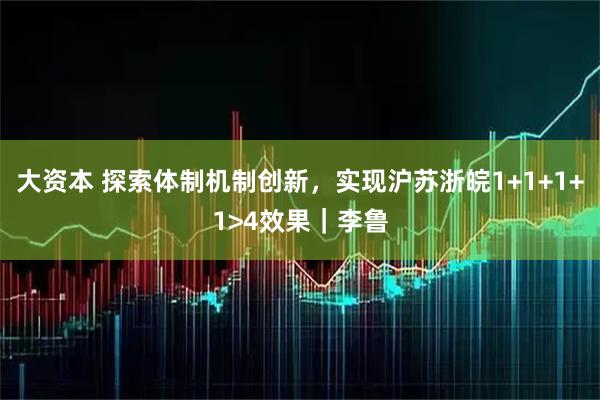 大资本 探索体制机制创新，实现沪苏浙皖1+1+1+1>4效果｜李鲁