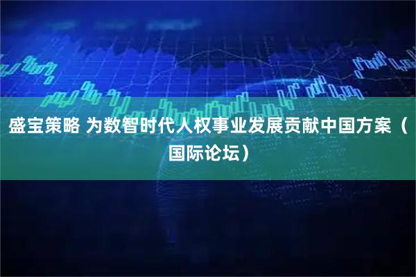 盛宝策略 为数智时代人权事业发展贡献中国方案（国际论坛）
