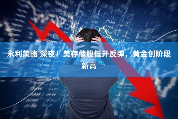 永利策略 深夜！美存储股低开反弹，黄金创阶段新高